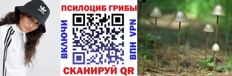 Галлюциногенные грибы прущие грибы  купить наркоту  Тюмень 