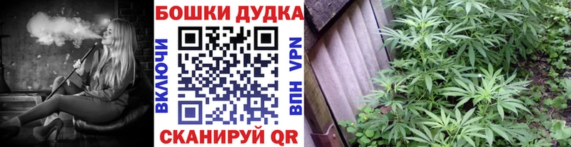 Каннабис сатива  где продают   Тюмень 